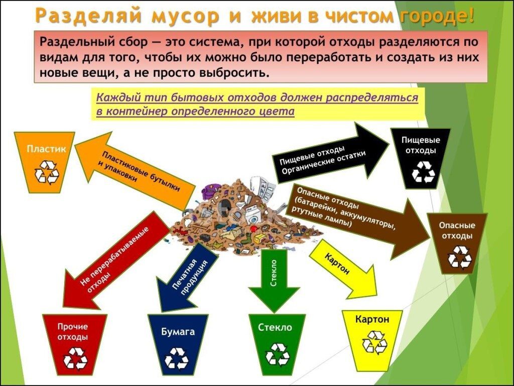 Проблема мусора — глобальная, так как его количество быстро растет на всей планете.